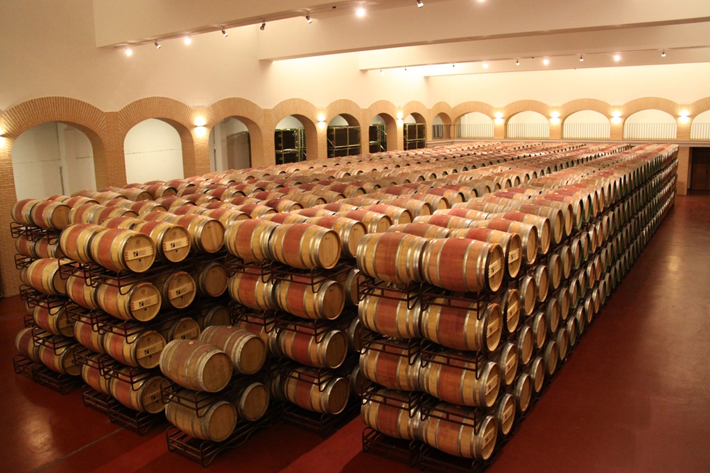 Cum se face vinul la o ferma viticola din Spania