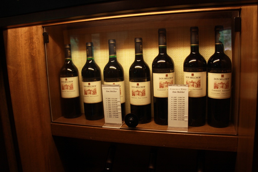 Concha y Toro – un producator de vin chilian de renume