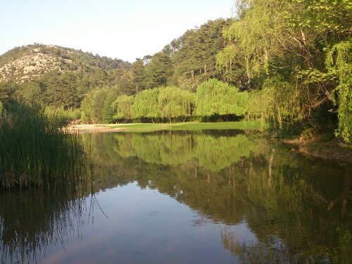 Magical lake in the forest, Thassos – Greece